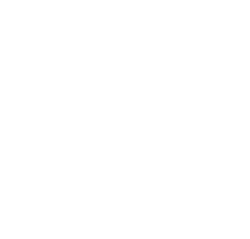 Wingz-wht-butterfly-2